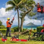 Location matériel paysagiste Martinique Guadeloupe | Élagage & cyclones