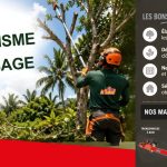 Location matériel paysagiste Martinique Guadeloupe | Élagage & cyclones