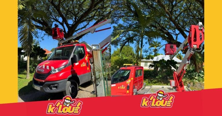 La solution K’Loué pour un élagage sécurisé