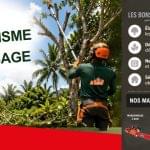 Location matériel paysagiste Martinique Guadeloupe | Élagage & cyclones